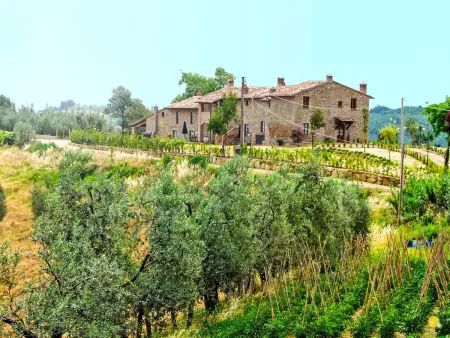 Gîte Donatello – domaine toscan près de San Gimignano : photo 32