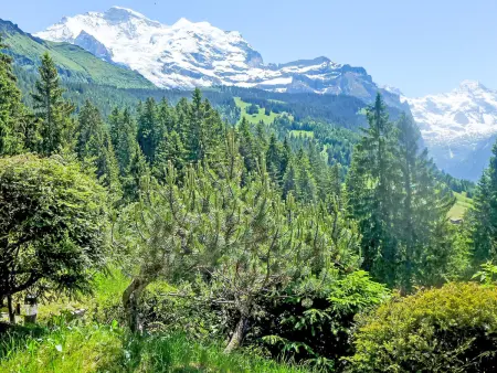 Zwärgli, Chalet 6 personnes à Wengen - Photo 17