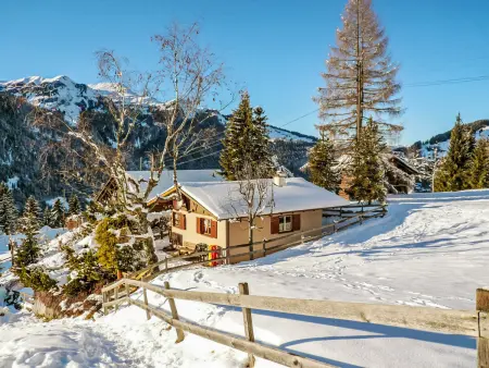 Zwärgli, Chalet 6 personnes à Wengen - Photo 23
