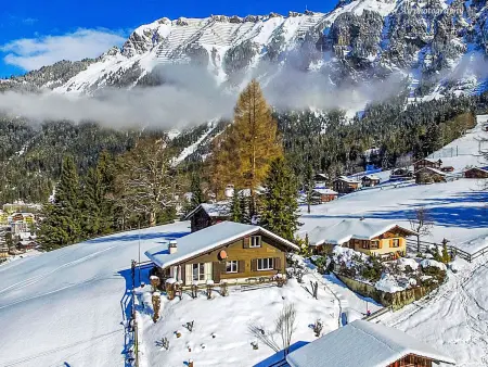 Zwärgli, Chalet 6 personnes à Wengen - Photo 24