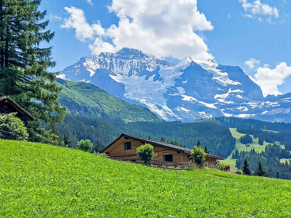 Mioche, Chalet 6 personnes à Wengen - Photo 34