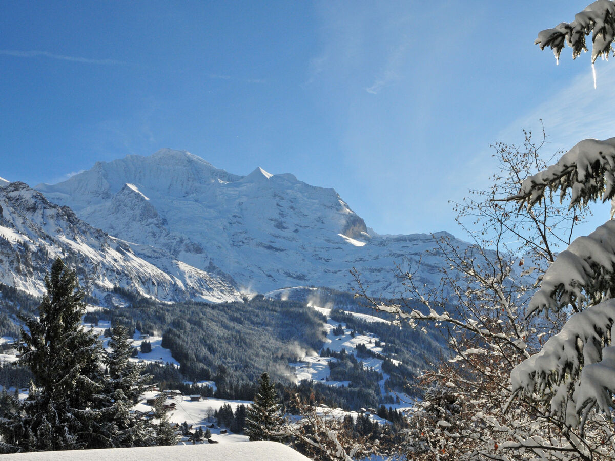Mioche, Chalet 6 personnes à Wengen - Photo 47