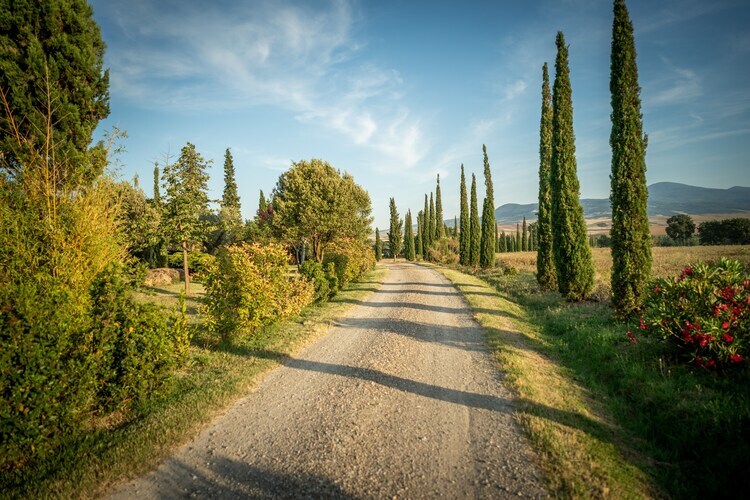 Villa Dezi, maison 8 personnes avec piscine à Pienza - Photo 24