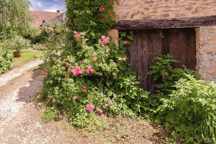 La Bergerie, gîte romantique rénové aux Eyzies - Photo 17