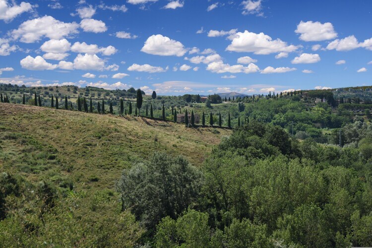 Gîte Terra en ferme toscane à Asciano - Photo 36