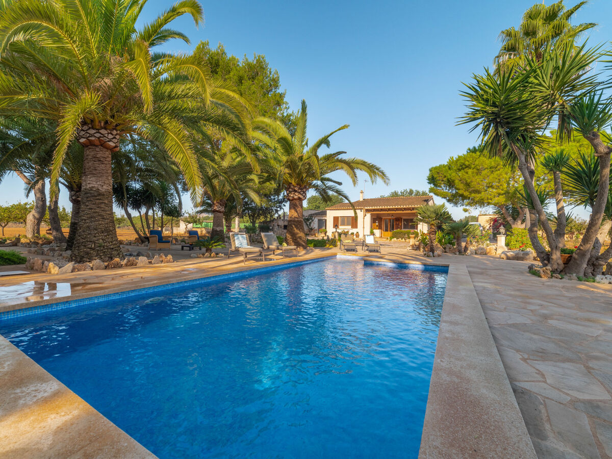 Morla – Maison 6 pers. avec piscine à Porreres - Photo 1