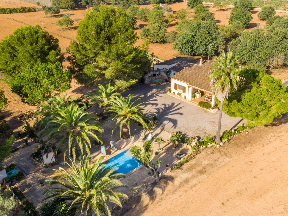 Morla – Maison 6 pers. avec piscine à Porreres - Photo 2
