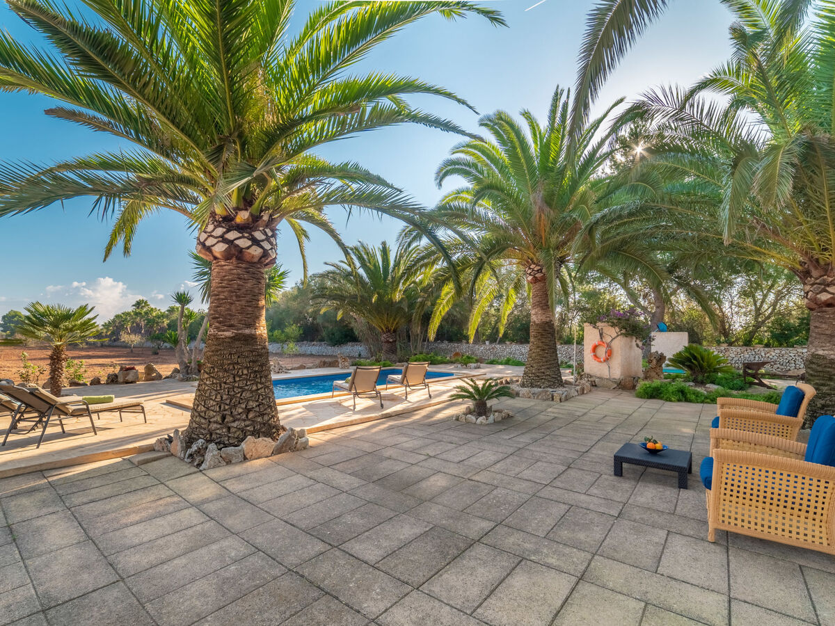 Morla – Maison 6 pers. avec piscine à Porreres - Photo 6