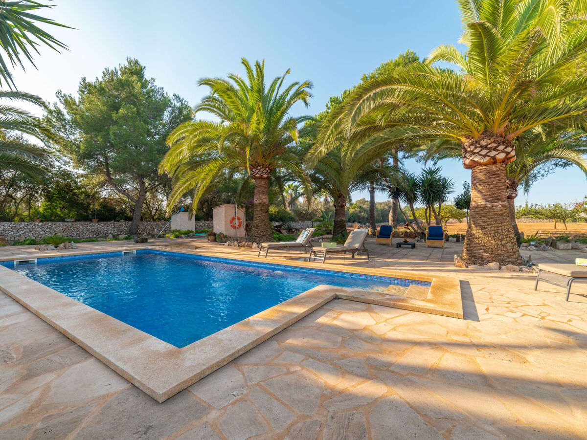 Morla – Maison 6 pers. avec piscine à Porreres - Photo 11