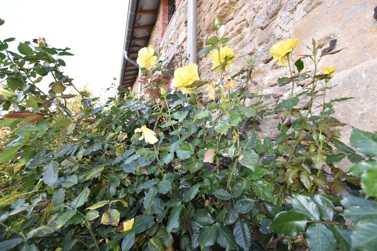 Ferme Remy : maison 7 pers. avec jardin et barbecue - Photo 22