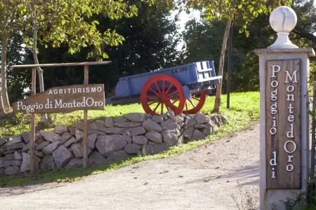 Gîte Maria à Montefiascone, vue lac de Bolsena : photo 31