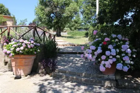 Gîte Maria à Montefiascone, vue lac de Bolsena : photo 40