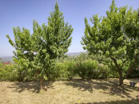 Maison à La Cadière d'Azur, vue mer et piscine dans les vignes : photo 22