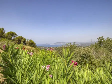 Maison à La Cadière d'Azur, vue mer et piscine dans les vignes : photo 23