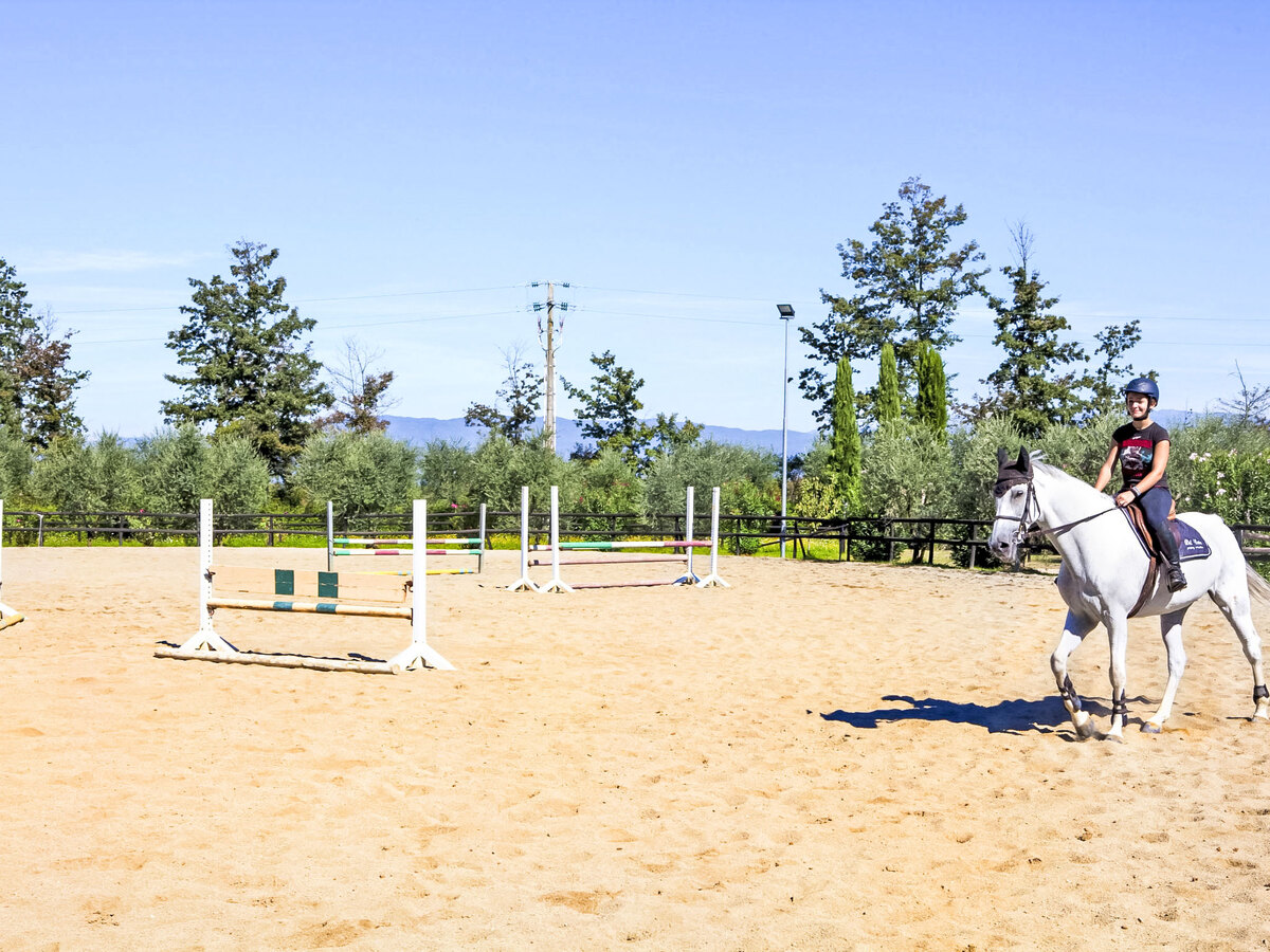 Villa Elena - 10 pers, piscine & équitation à Fucecchio - Photo 60