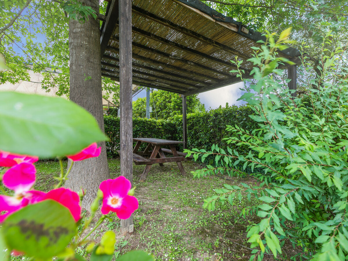 Trilocale 55 m² à Fucecchio, domaine avec piscine - Photo 29