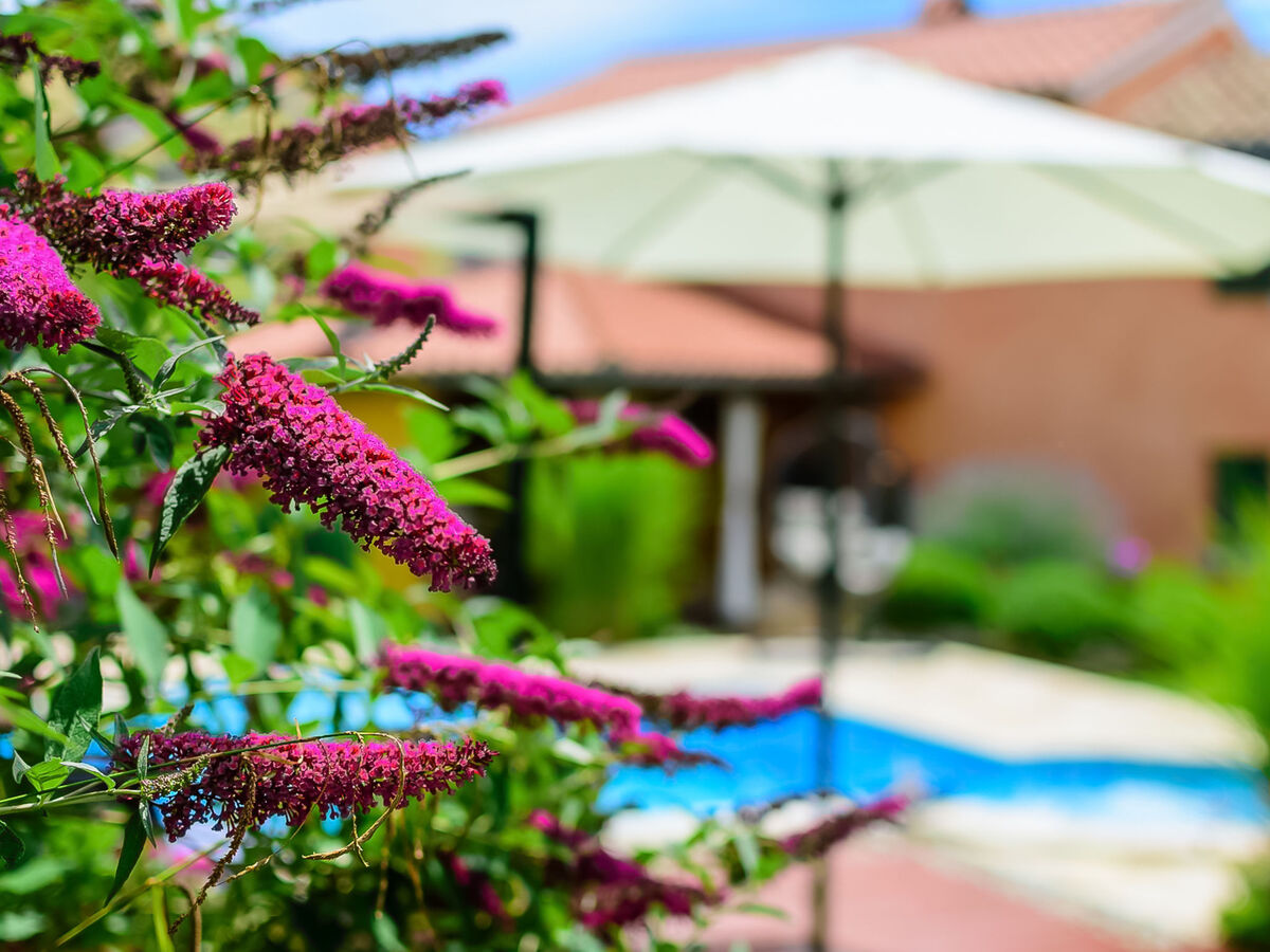 Maison Loreta avec piscine privée à Vodnjan - Photo 19