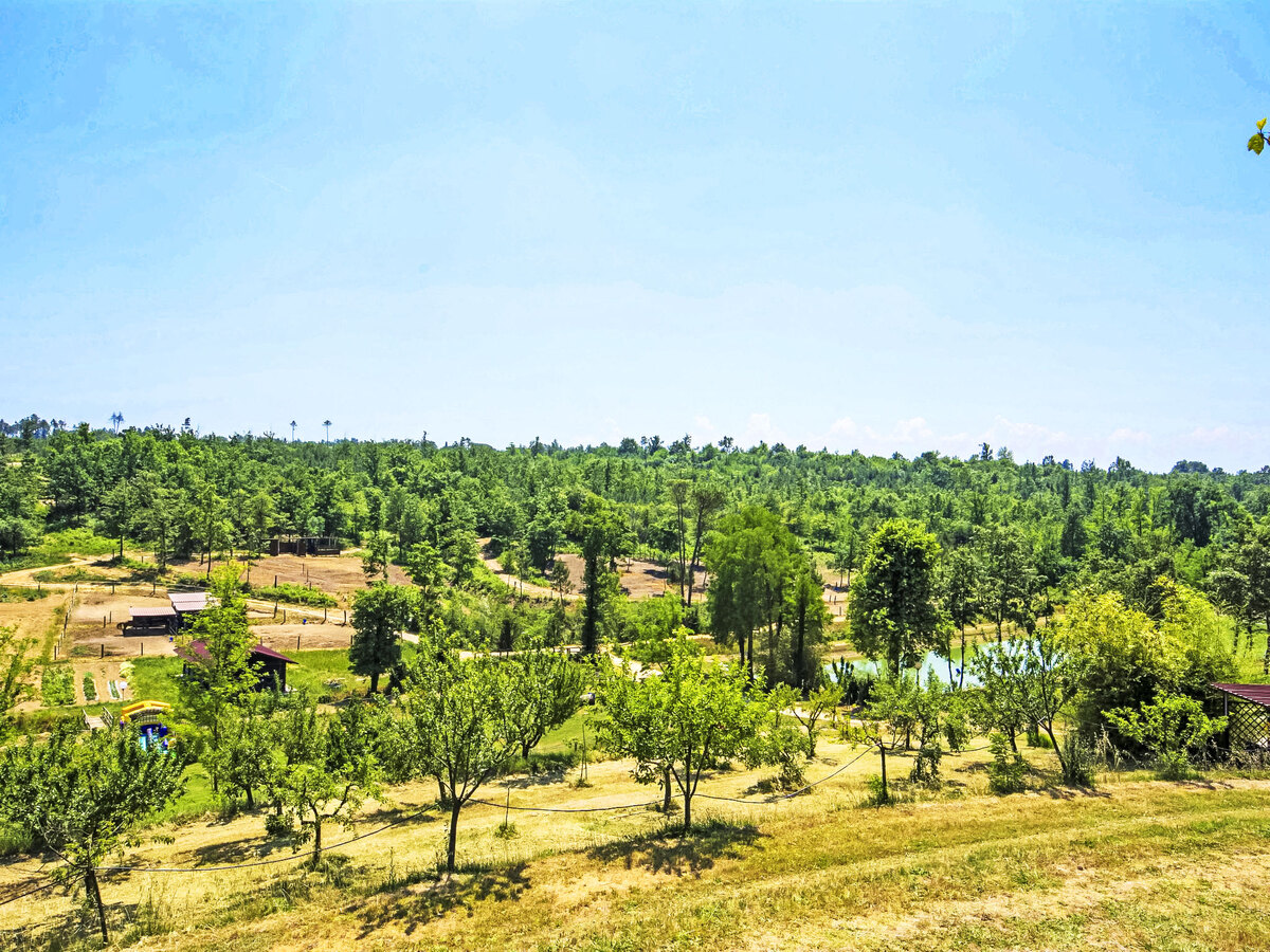 Bilocale 40 m² à Fucecchio, domaine avec piscine - Photo 56
