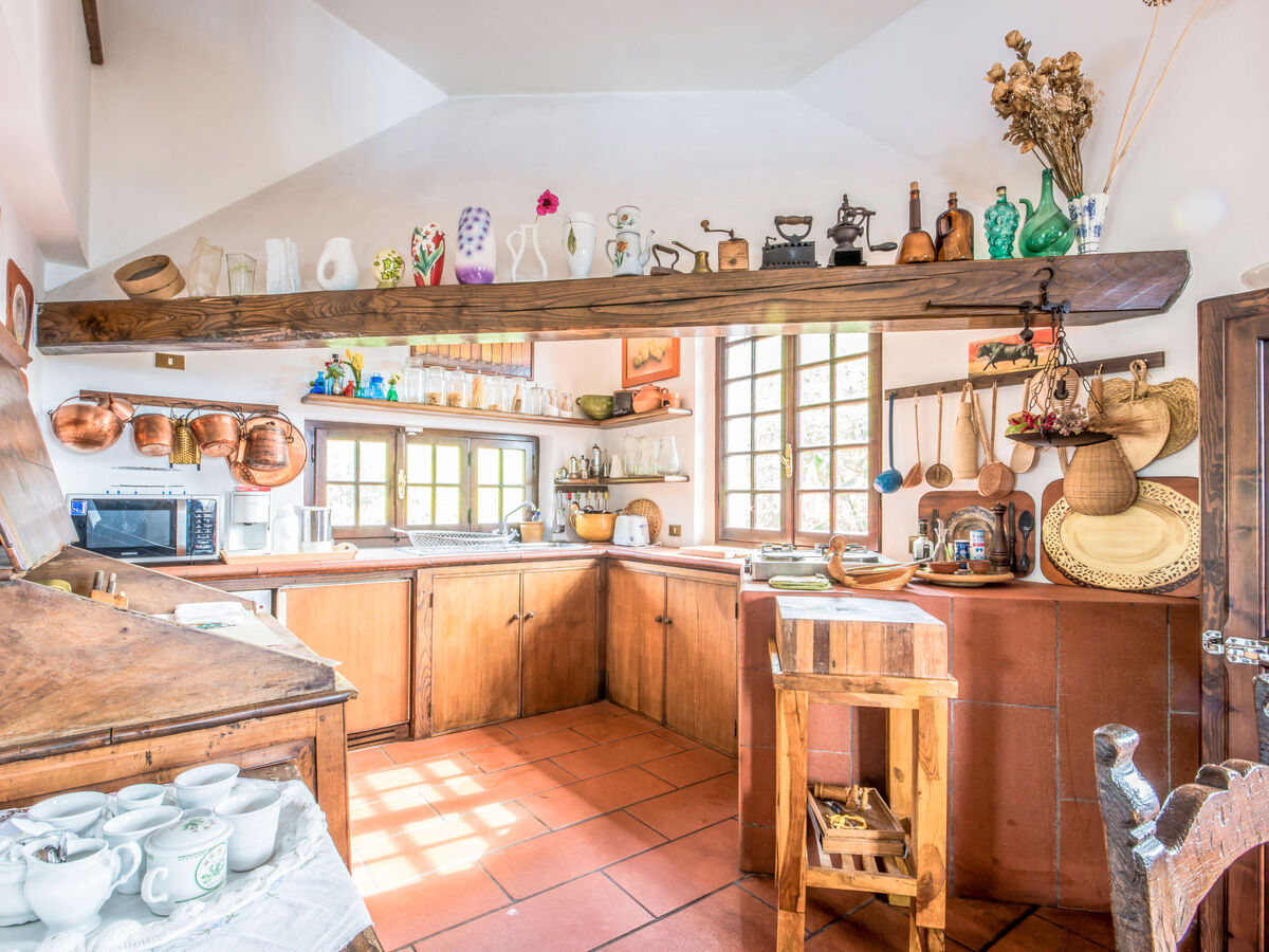 Villa Poggiobello – Maison 4 pers. avec piscine, Forte dei Marmi - Photo 7