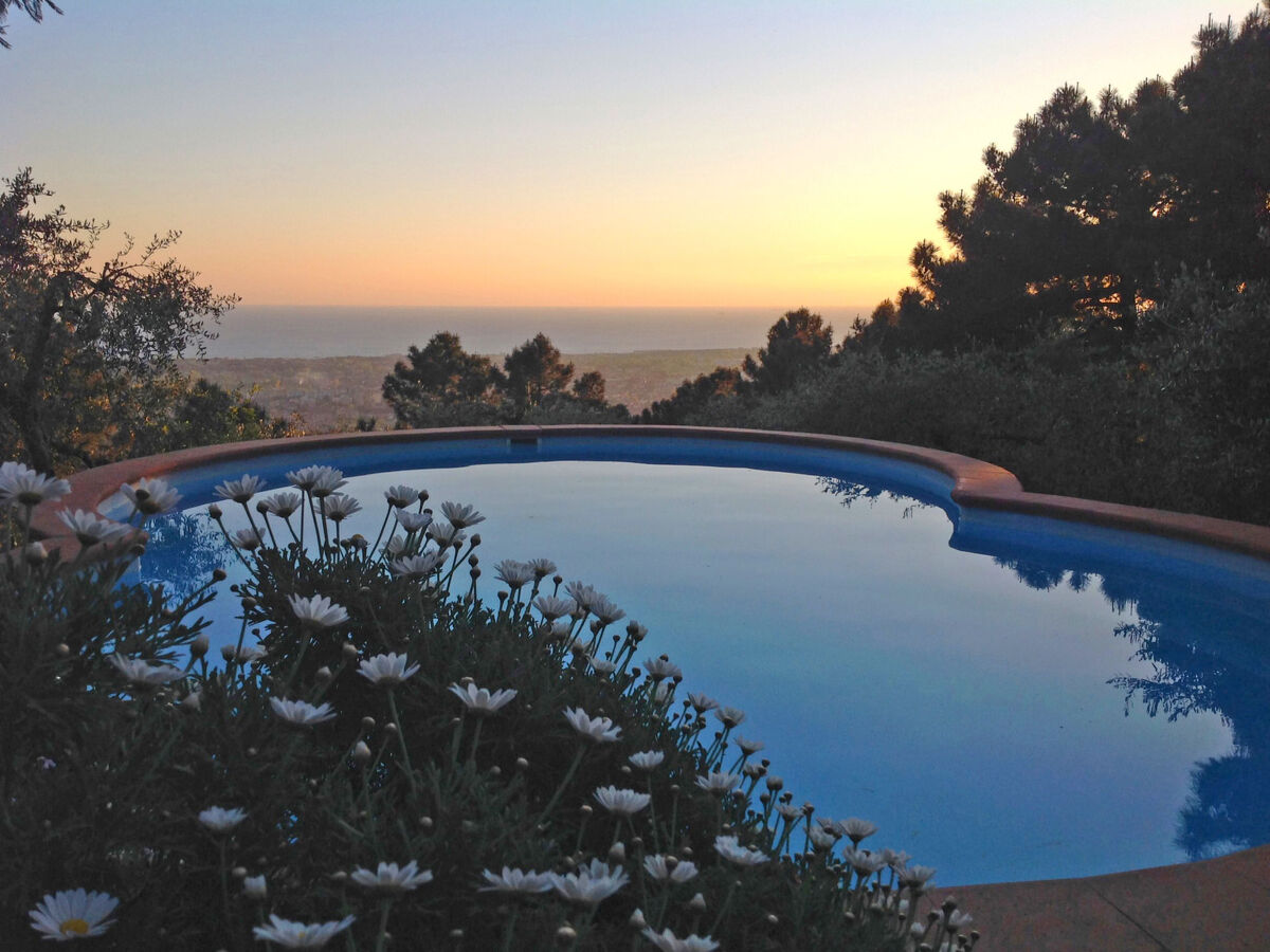 Villa Poggiobello – Maison 4 pers. avec piscine, Forte dei Marmi - Photo 21