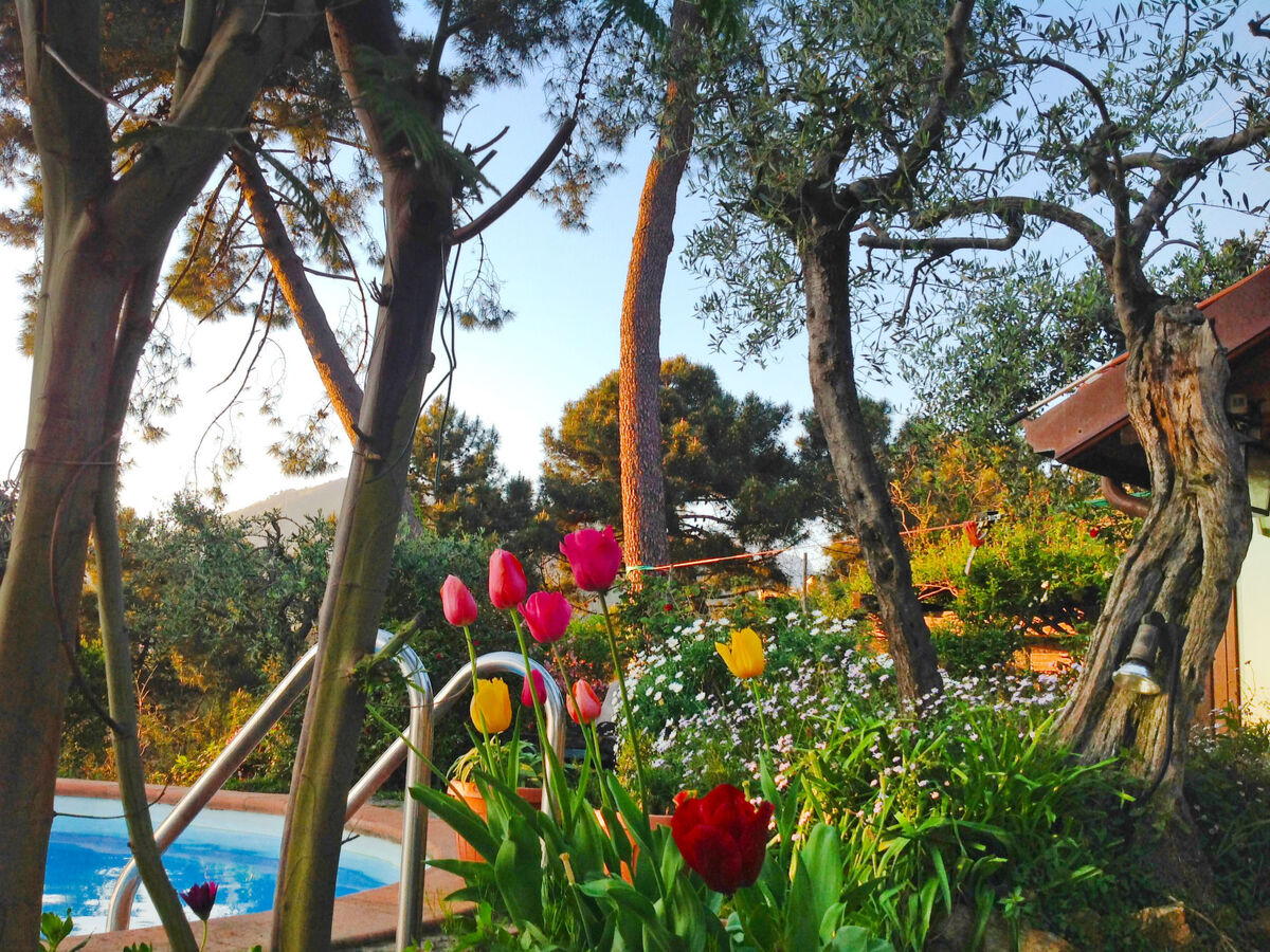 Villa Poggiobello – Maison 4 pers. avec piscine, Forte dei Marmi - Photo 26
