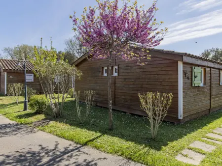 Domaine de Sévenier Chêne Vert, Location Maison 5 personnes à Vallon Pont d'Arc - Photo 19