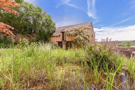Domaine de la Borderie, Domaine Charmant Dordogne avec Piscine - Photo 11