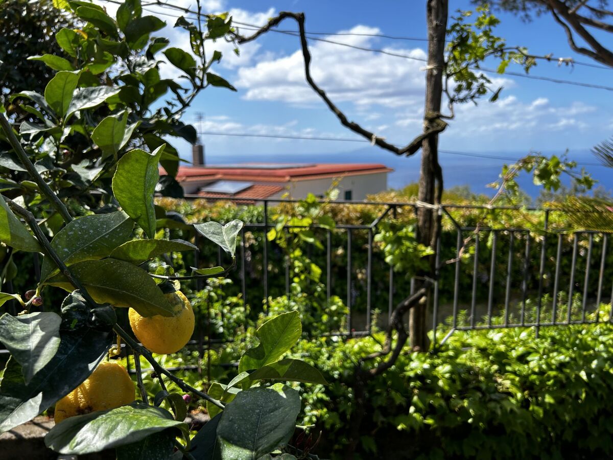 O pignatiello, maison rustique du 18e siècle - Photo 28
