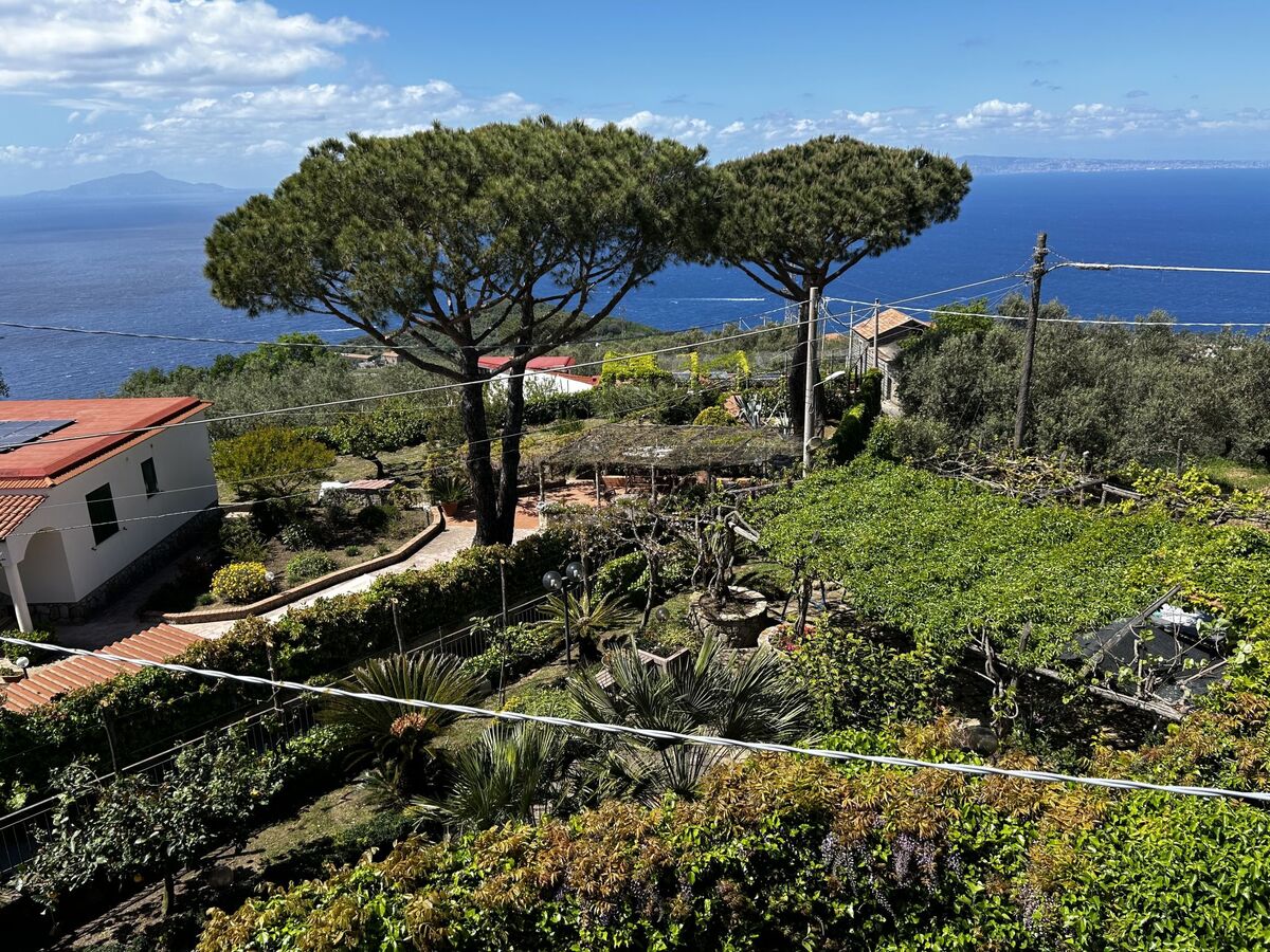 O pignatiello, maison rustique du 18e siècle - Photo 29