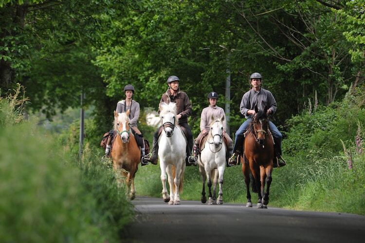 Gîte Brouillac - 10 pers, piscine chauffée en Dordogne - Photo 27