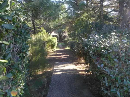 Maison Juncades à 500 m de la plage, Seignosse : photo 16