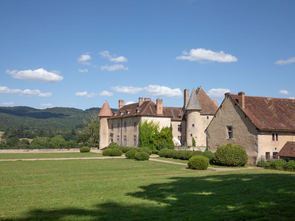 La Maison du Château – Maison 8 pers. Etang-sur-Arroux - Photo 1