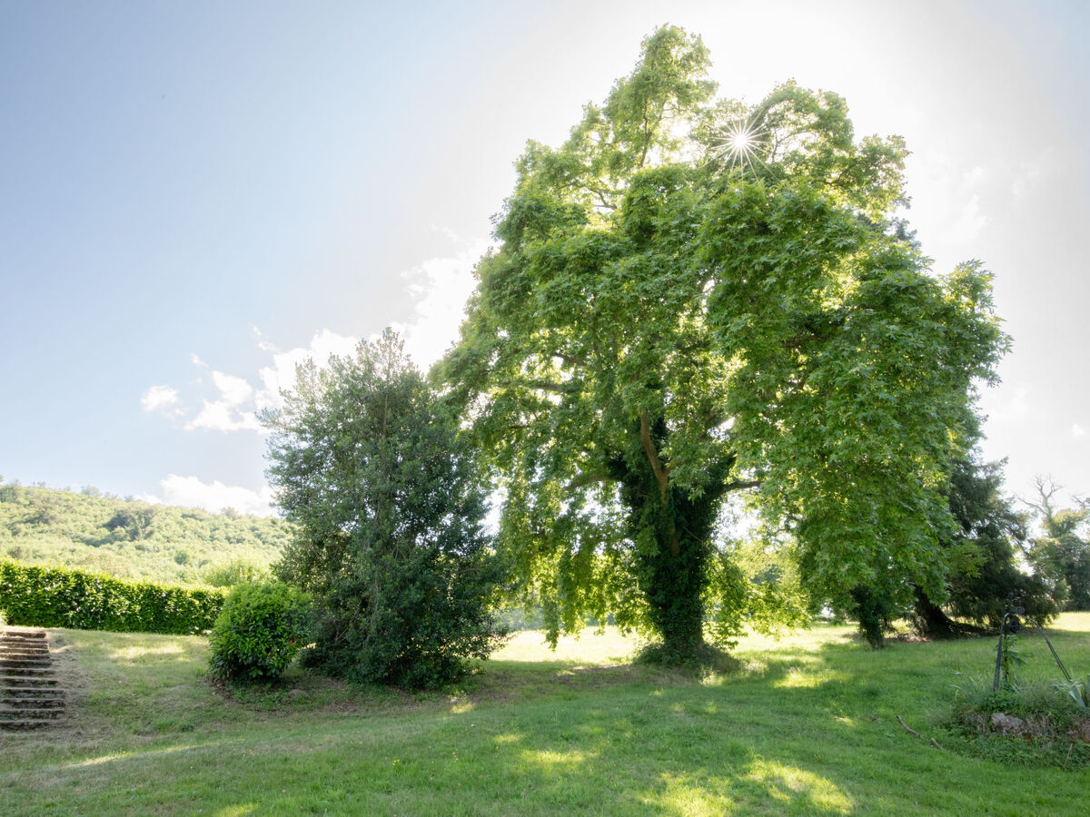 La Maison du Château – Maison 8 pers. Etang-sur-Arroux - Photo 35
