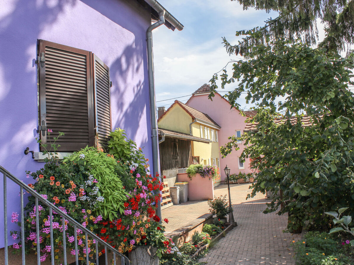 Appartement 2 pièces au cœur de Marckolsheim - Photo 13