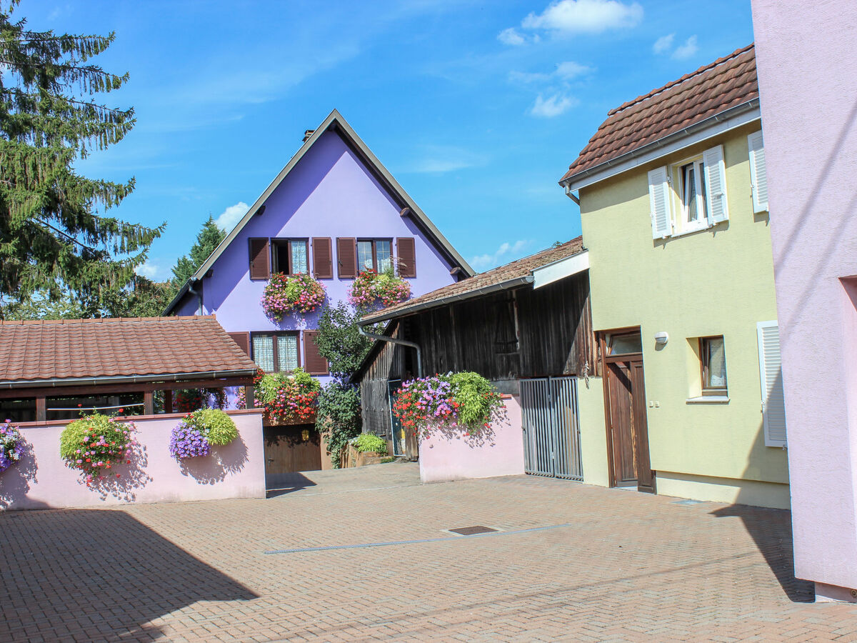 Appartement 2 pièces Marckolsheim, famille 5 pers. - Photo 1
