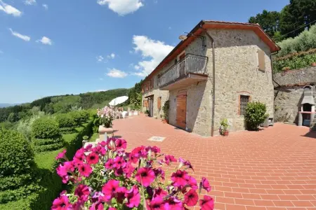Location gite à Petrognano, Cottage à Lucca avec Piscine & Vin