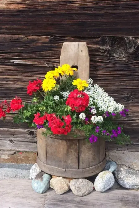 Location appartement à Saas Almagell