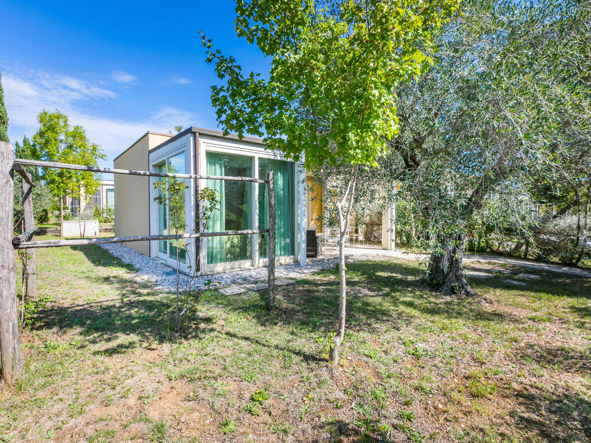 Maison Biovillage 4 pers., piscine et jardin à Cecina - Photo 5
