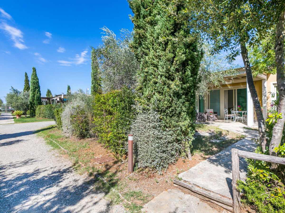 Maison Biovillage 4 pers., piscine et jardin à Cecina - Photo 34