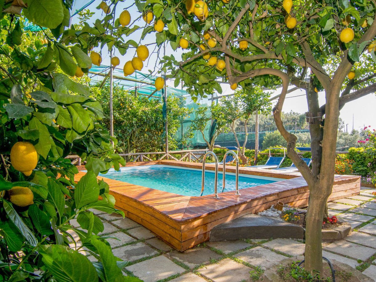 Emi, gîte rustique 10 pers. avec piscine à Massa Lubrense - Photo 30