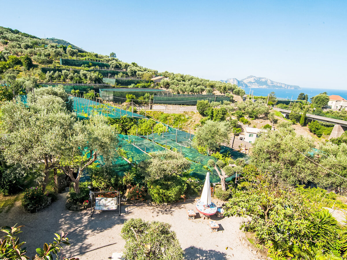 Emi, gîte rustique 10 pers. avec piscine à Massa Lubrense - Photo 33