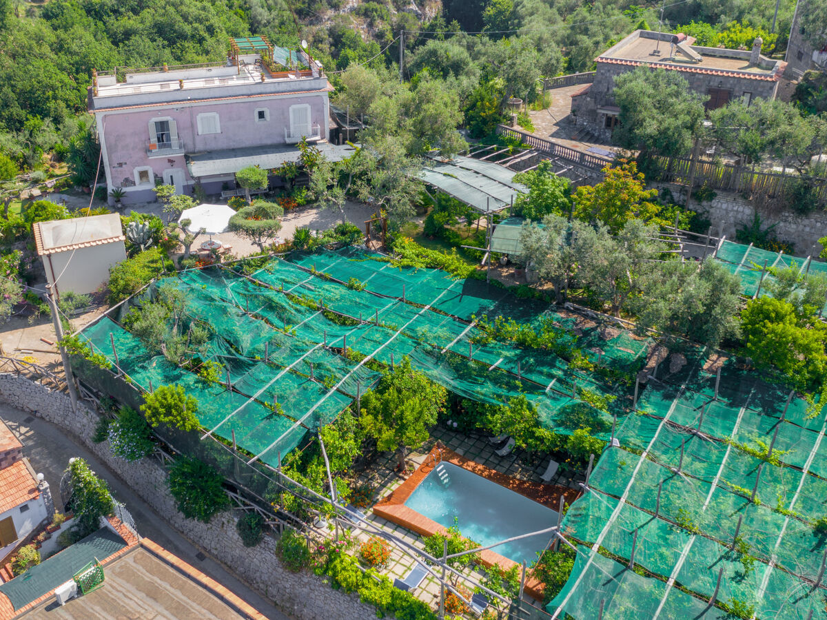 Emi, gîte rustique 10 pers. avec piscine à Massa Lubrense - Photo 35