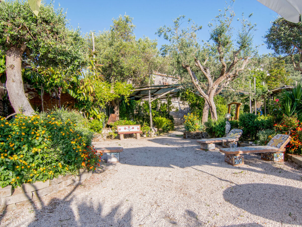 Emi, gîte rustique 10 pers. avec piscine à Massa Lubrense - Photo 39