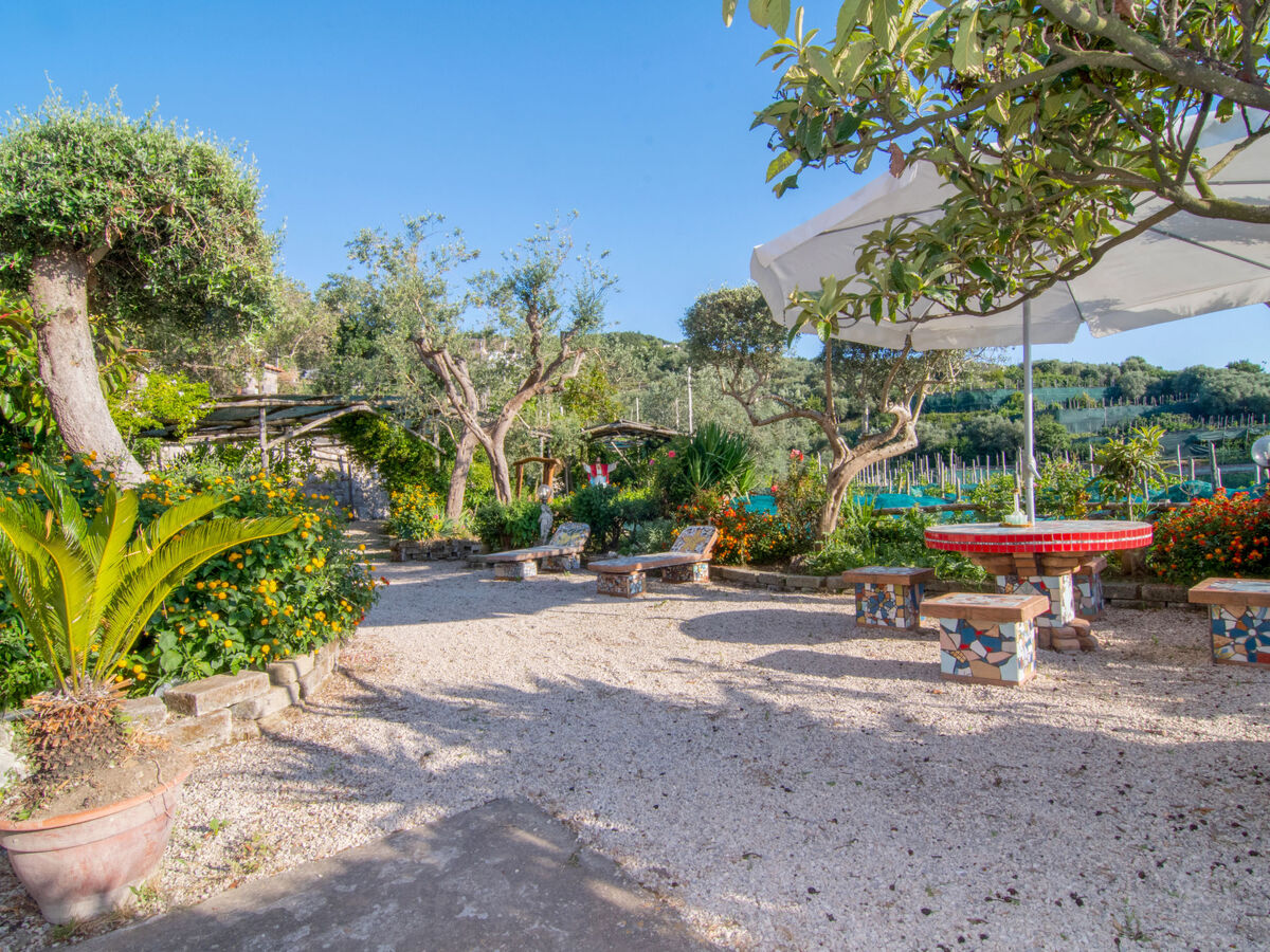 Emi, gîte rustique 10 pers. avec piscine à Massa Lubrense - Photo 42