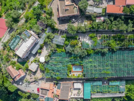 Emi, gîte rustique 10 pers. avec piscine à Massa Lubrense : photo 36