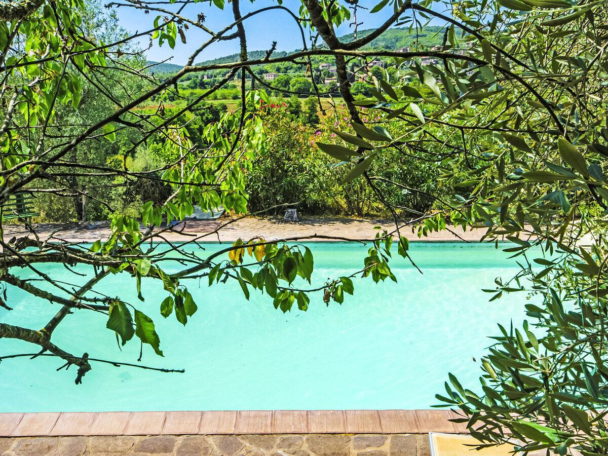 Il Ligustro – Gîte 2 pers. Sovicille, Toscane - Photo 11