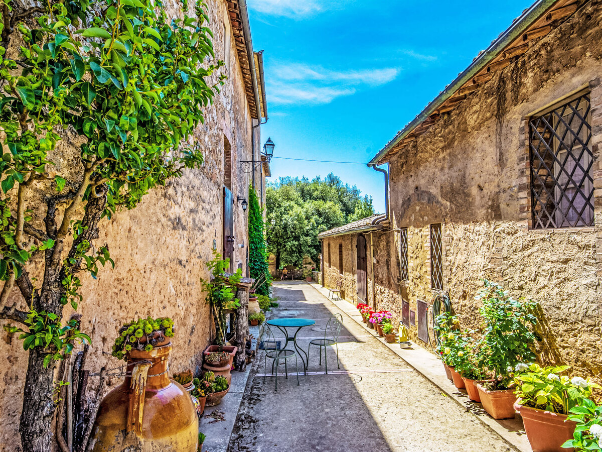 Il Ligustro – Gîte 2 pers. Sovicille, Toscane - Photo 14