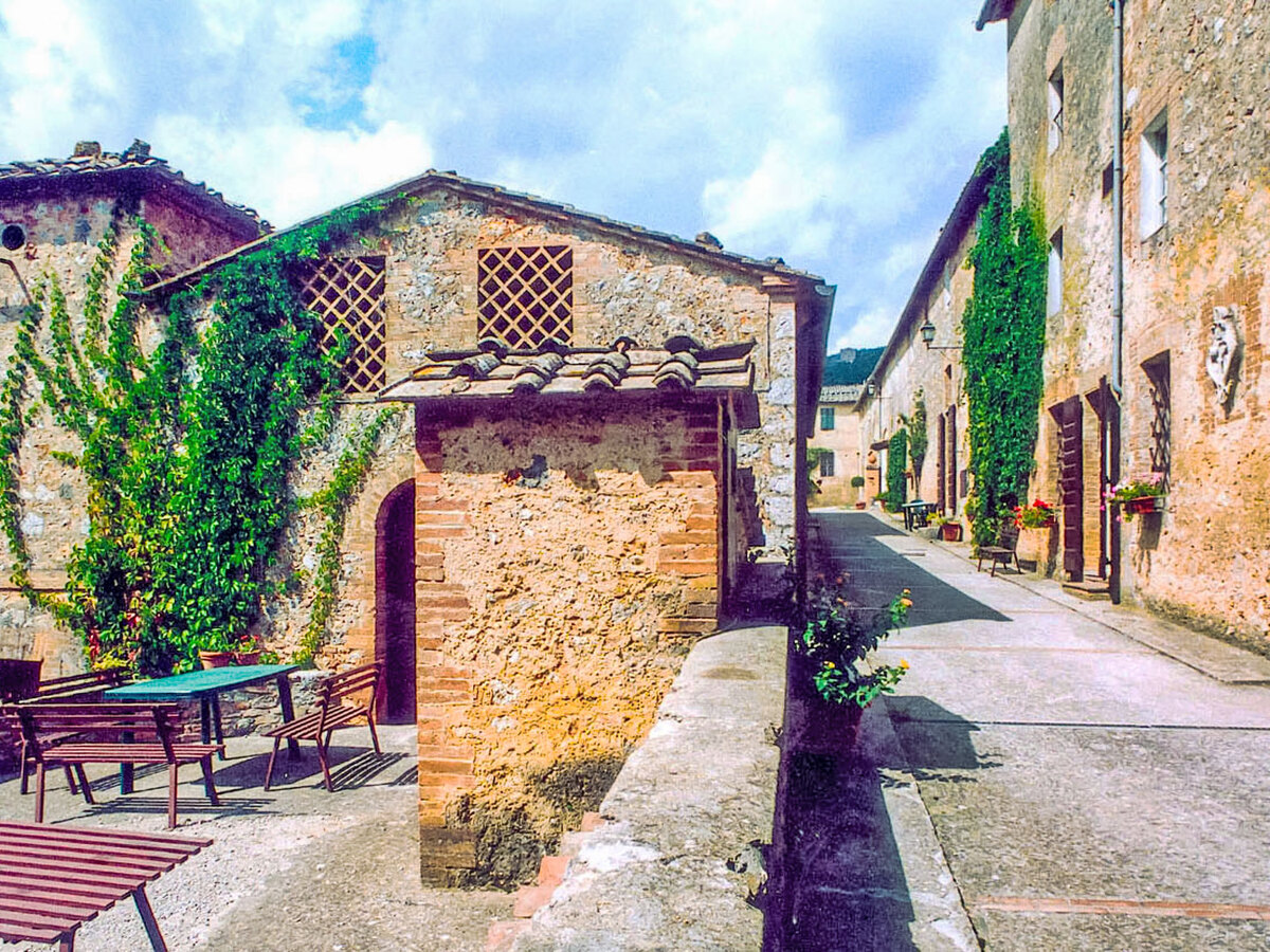 Il Ligustro – Gîte 2 pers. Sovicille, Toscane - Photo 19