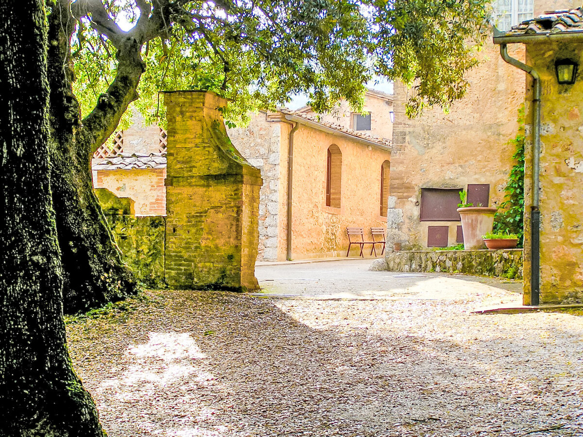 Il Ligustro – Gîte 2 pers. Sovicille, Toscane - Photo 20