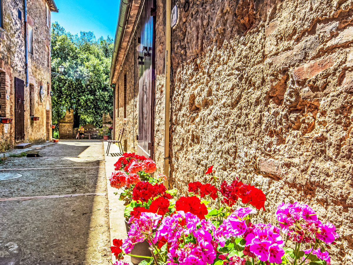 Il Ligustro – Gîte 2 pers. Sovicille, Toscane - Photo 24